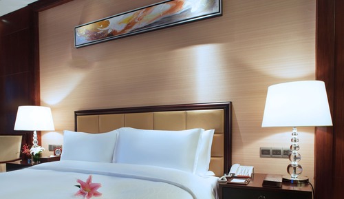 Double Room, Mountain View