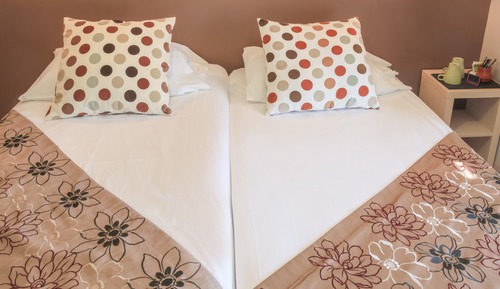 Standard Twin Room, Private Bathroom