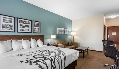 Suite, 1 King Bed with Sofa bed, Accessible, Non Smoking