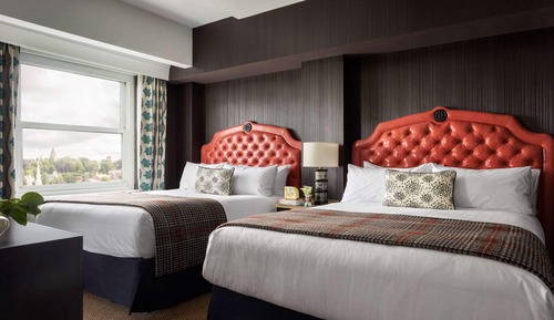 Junior Suite, Multiple Beds