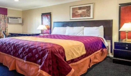 Economy Room, 1 King Bed, Refrigerator & Microwave, City View