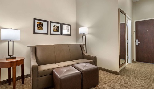Suite, 1 King Bed with Sofa bed, Non Smoking