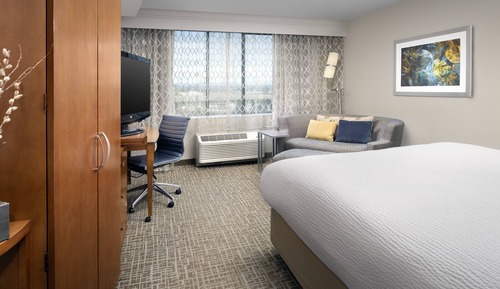 Room, 1 King Bed with Sofa bed