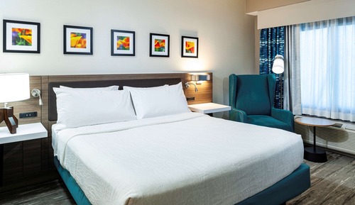 Room, 1 King Bed, Mountain View