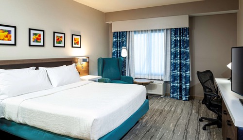 Room, 1 King Bed (Walk-in Shower)