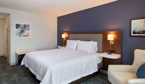 Room, 1 King Bed