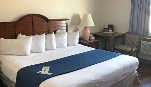 Room, 1 King Bed, Non Smoking