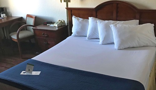 Room, 1 King Bed, Non Smoking (Pet Friendly)