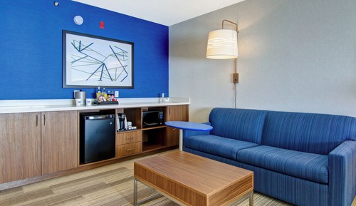 Suite, 1 King Bed with Sofa bed