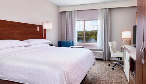 Traditional Room, 1 King Bed (Mobility Accessible, Tub)