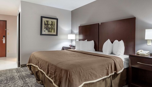 Suite, 1 King Bed with Sofa bed, Non Smoking, Refrigerator & Microwave (with Sofabed)