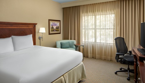 Room, 1 King Bed (Mobility Accessible, Tub)