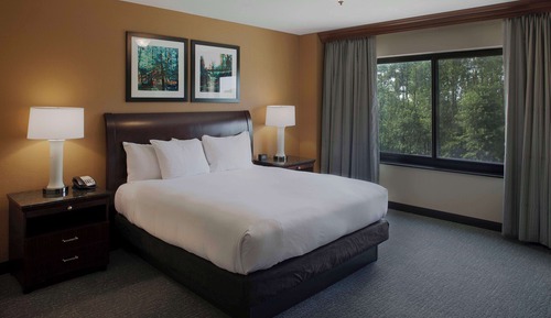 Suite, One King and One Sofa Bed