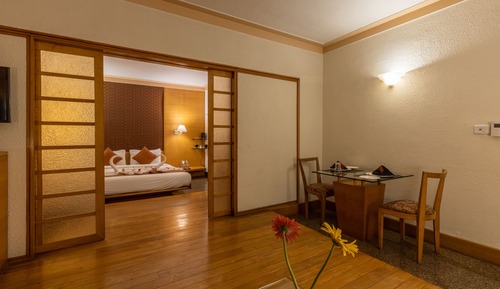 Basic Suite, 1 King Bed