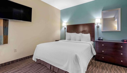 Deluxe Studio, 1 Queen Bed, Non Smoking, Refrigerator & Microwave