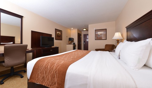 Room, 1 King Bed, Accessible, Non Smoking