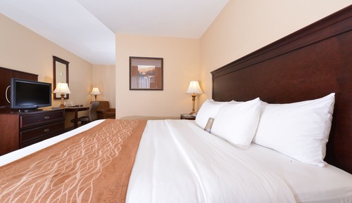 Room, 1 King Bed with Sofa bed, Accessible, Non Smoking