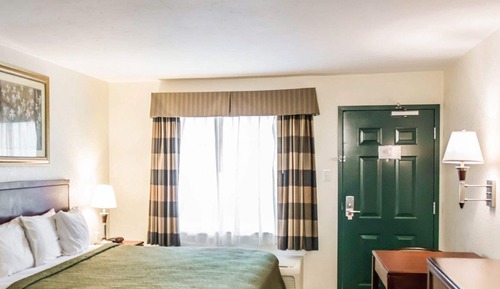 Room, 1 King Bed, Non Smoking