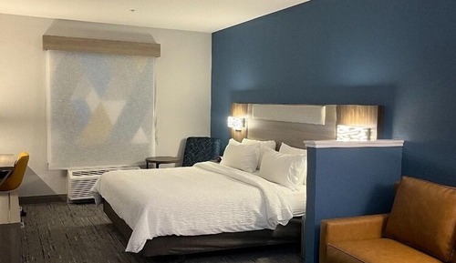 Suite, 1 King Bed with Sofa bed