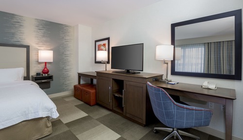 Room, 1 King Bed, Accessible, Non Smoking