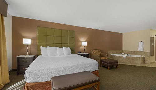 Standard Room, 1 King Bed, Non Smoking, Refrigerator & Microwave (with Sofabed)