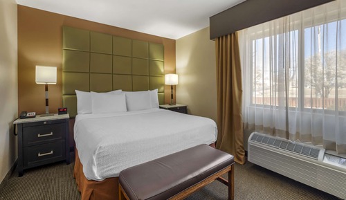 Standard Room, 1 King Bed, Non Smoking, Refrigerator & Microwave