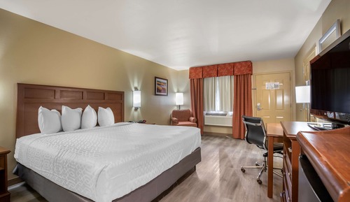 Standard Room, 1 King Bed, Non Smoking, Refrigerator & Microwave