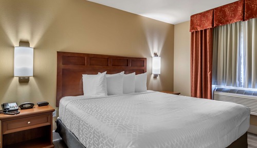 Deluxe Suite, 1 King Bed with Sofa bed, Non Smoking, Refrigerator & Microwave (with Sofabed)