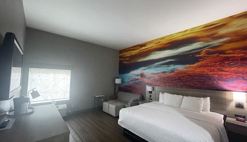 Room, 1 King Bed, Mobility Accessible, Non Smoking (Hearing, Bathtub w/Grab Bars)