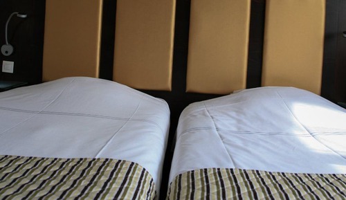 Standard Double Room, 1 Queen Bed