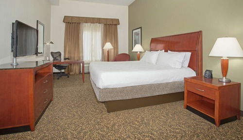 Room, 1 King Bed, Drinks & Snacks