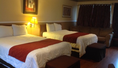 Standard Suite