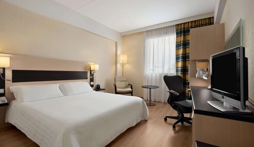 Room, 1 King Bed