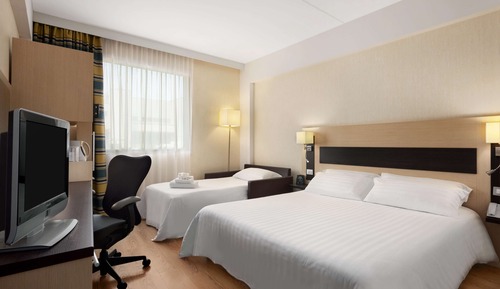 Room, 1 King Bed with Sofa bed
