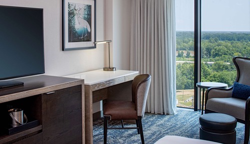 Room, 1 King Bed, Accessible (Hearing)