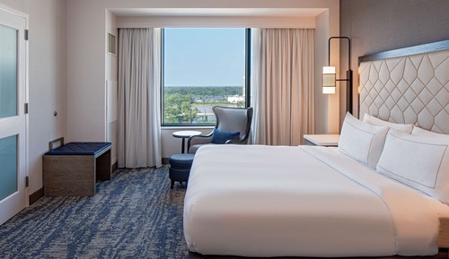 Suite, 1 King Bed