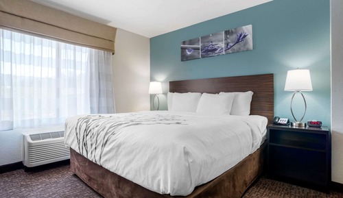 Suite, 1 King Bed with Sofa bed, Accessible, Non Smoking