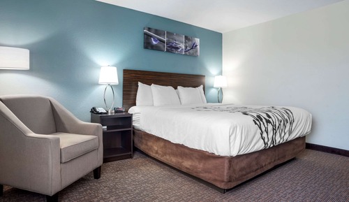 Standard Room, 1 King Bed, Non Smoking