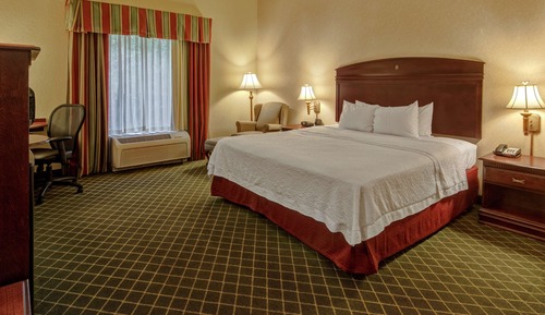 Room, 1 King Bed, Accessible, Bathtub (Mobility & Hearing)
