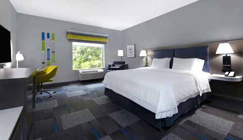 Room, 1 King Bed, Accessible