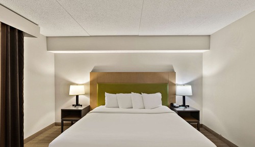 Room, 1 King Bed, Accessible, Non Smoking (Roll-in Shower)