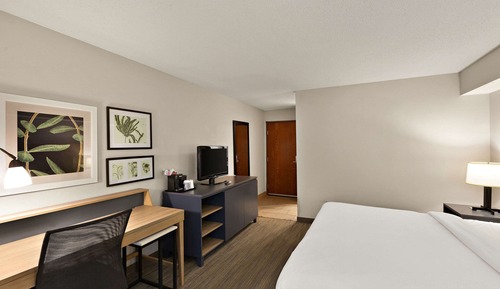 Room, 1 King Bed, Non Smoking
