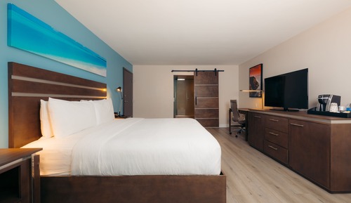 King Bed Suite