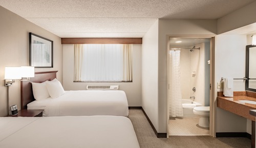 Room, Multiple Beds