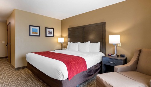 Room, 1 King Bed, Accessible, Non Smoking