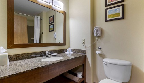 Suite, 1 King Bed with Sofa bed, Non Smoking