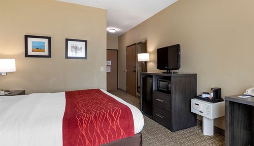 Room, 1 King Bed, Accessible, Non Smoking