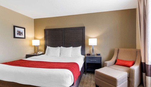 Standard Room, 1 King Bed, Non Smoking