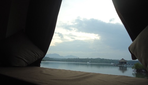 Kura Kura Room