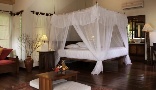 Mangrove Suite